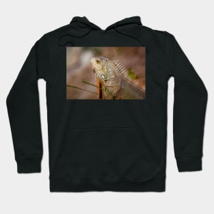 Resting Hoodie